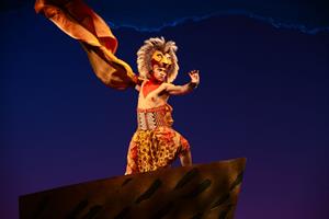 SImba sur le rocher