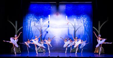 Le corps de ballet du Lac des cygnes