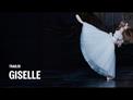 Teaser - Giselle